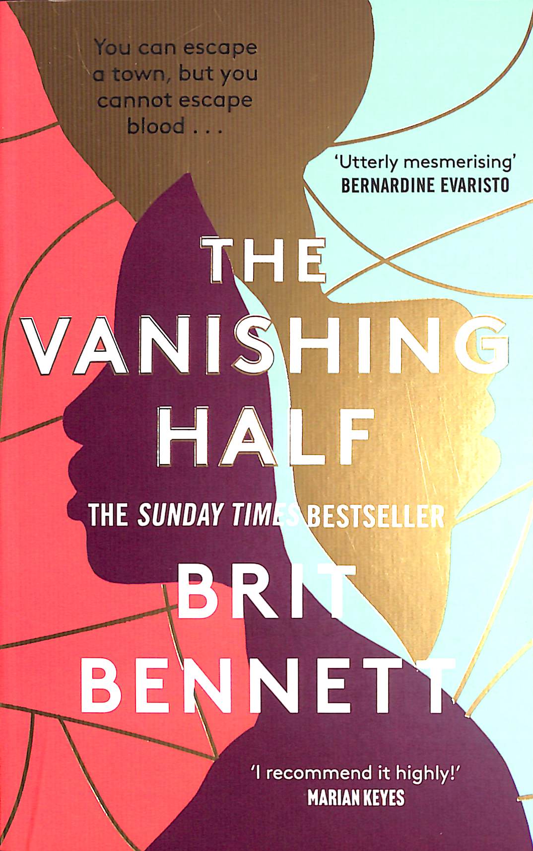 the vanishing half book summary the vanishing half book summary
