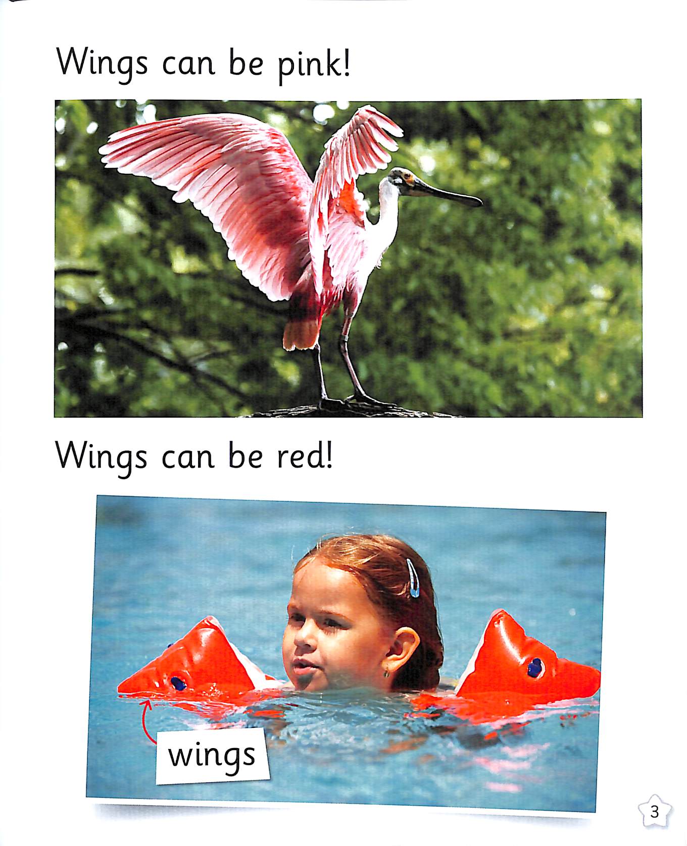 Reading Planet: Rocket Phonics – Target Practice – Wings and Things ...