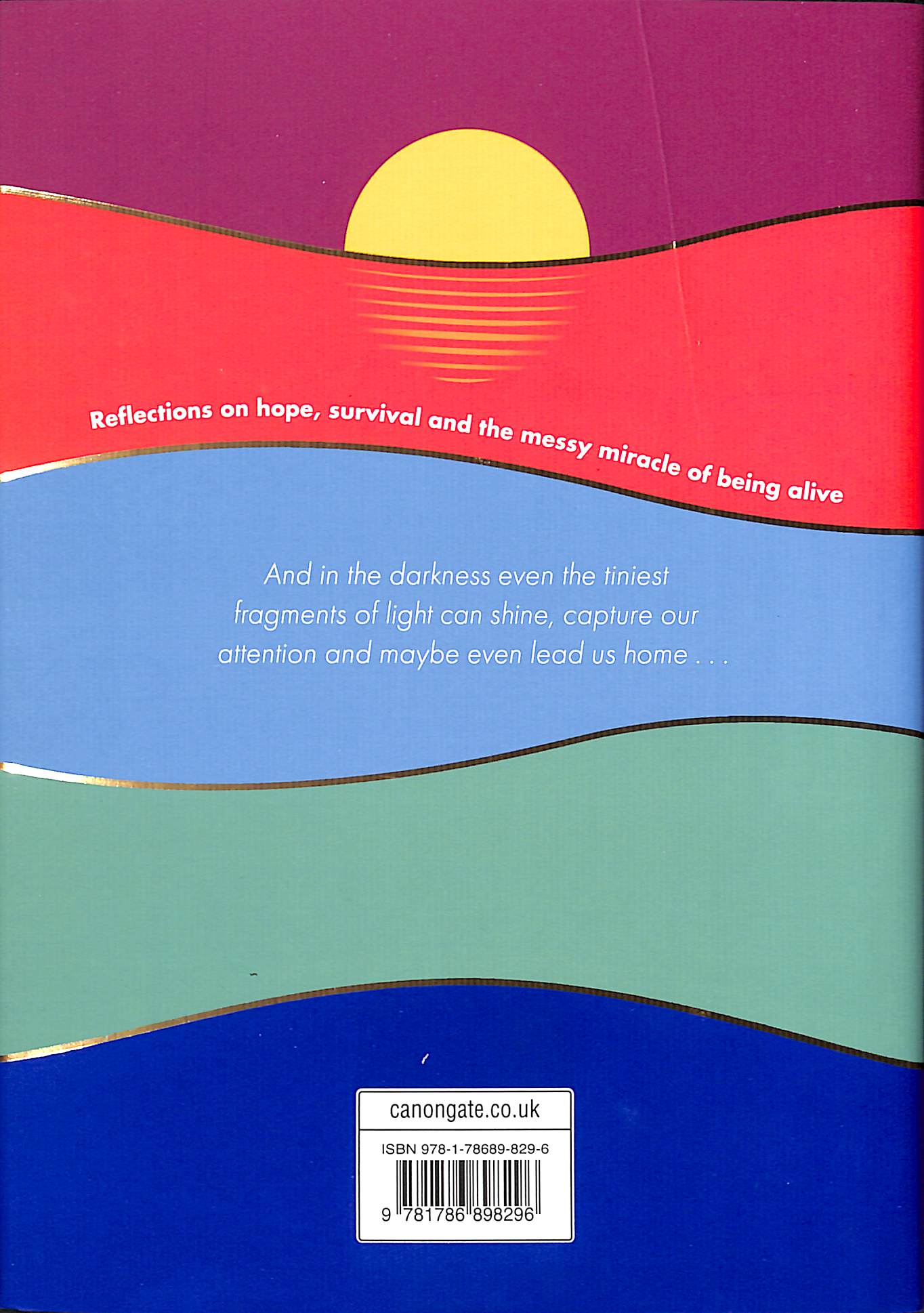 the comfort book book review the comfort book book review