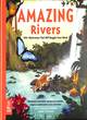 Amazing Rivers by Vosburgh Agnone, Julie (9781912920259) | Browns Books