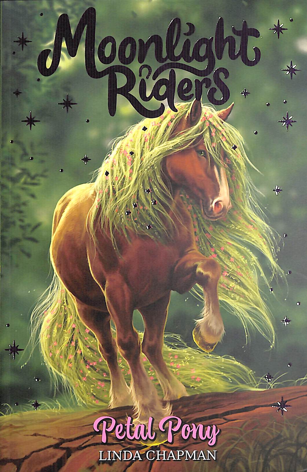 Moonlight Riders: Petal Pony by Chapman, Linda (9781408366813) | Browns ...