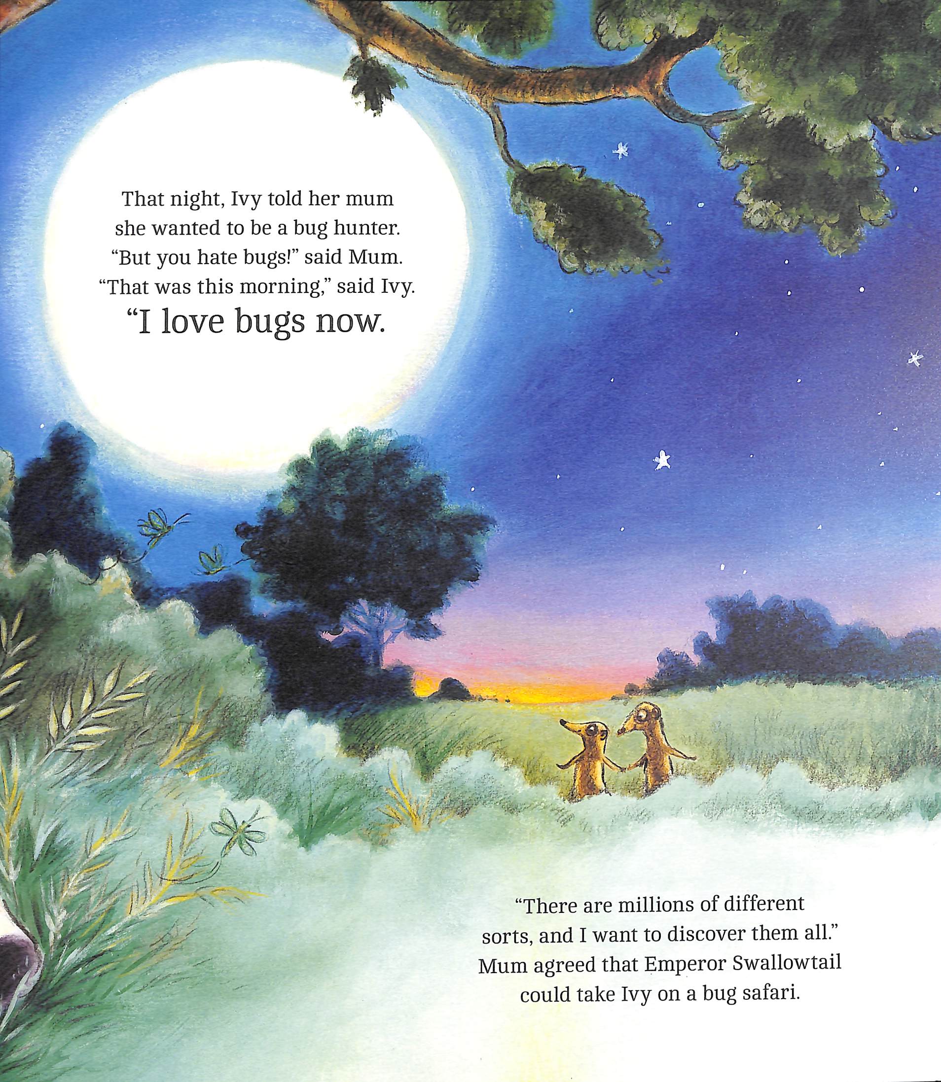 Sharon Rentta Animal Explorers: Ivy the Bug Hunter (PB) by Rentta, Sharon ...