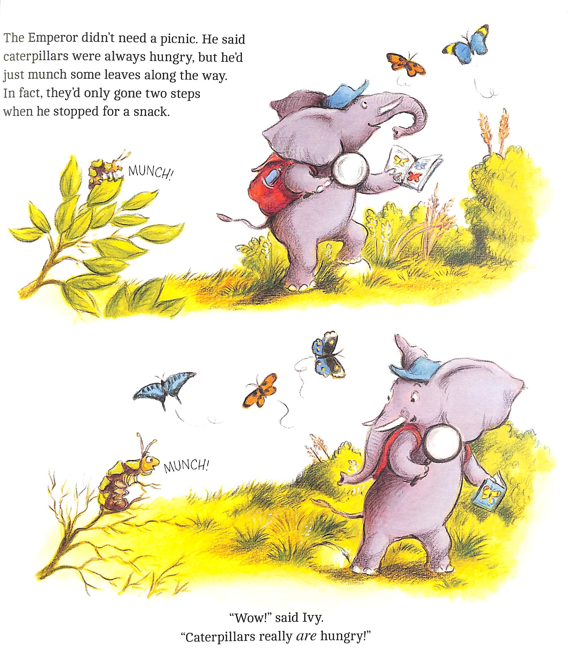 Sharon Rentta Animal Explorers: Ivy the Bug Hunter (PB) by Rentta, Sharon ...