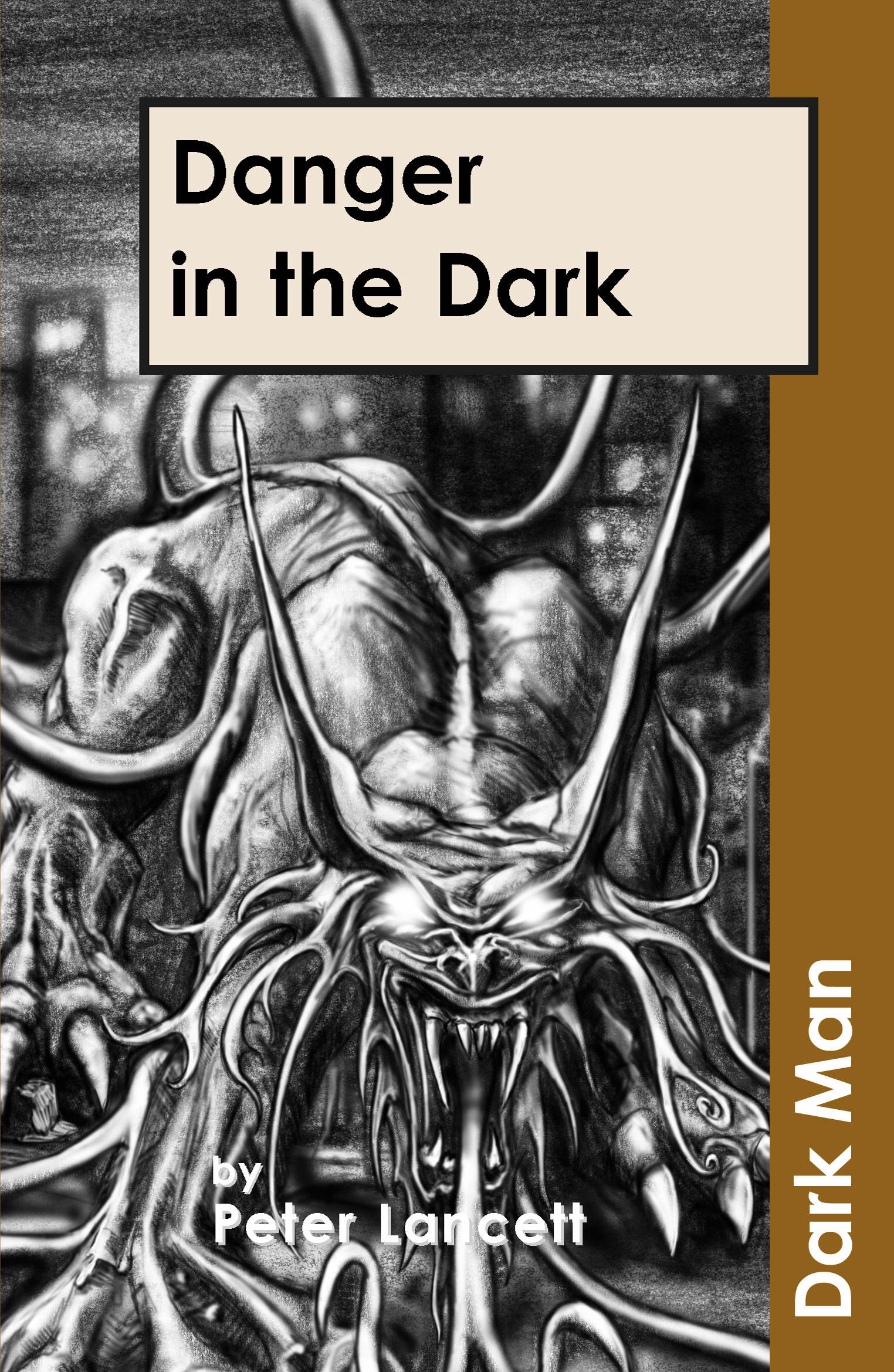 Danger in the dark by Lancett Peter (9781841674155) | BrownsBfS
