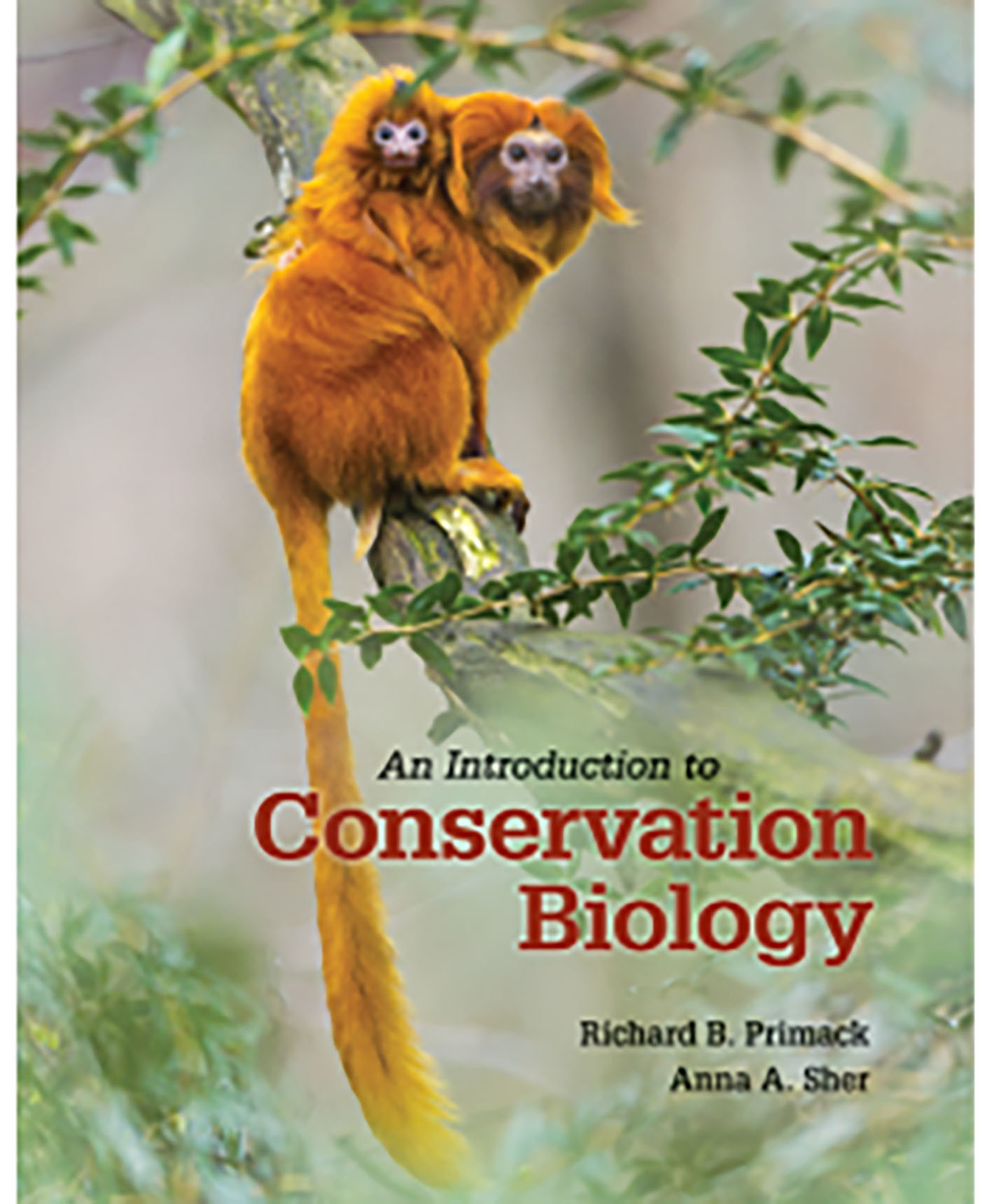 research topics in conservation biology