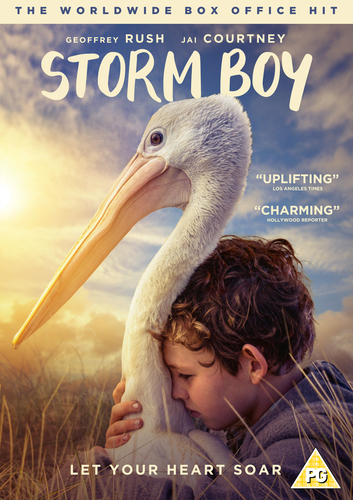 finn little storm boy finn little storm boy