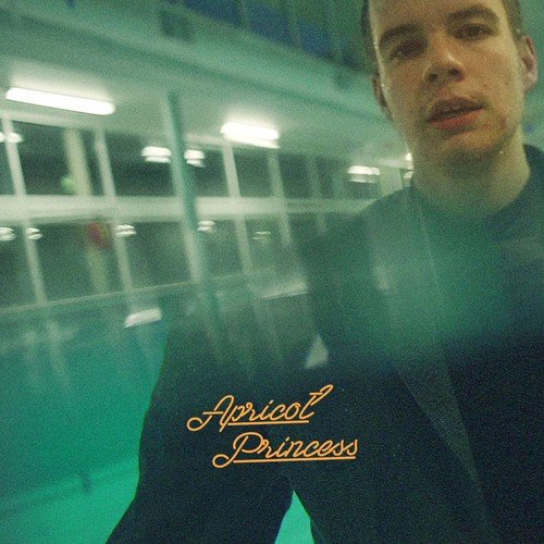 rex orange county apricot princess merch