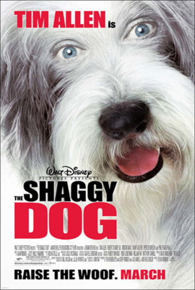 The shaggy dog