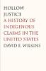 "Hollow Justice" by David E. Wilkins