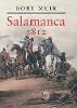 "Salamanca, 1812" by Rory Muir