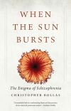 "When the Sun Bursts" by Christopher Bollas (author)