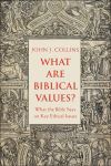 "What Are Biblical Values?" by John Collins (author)