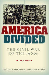 Jacket Image For: America divided