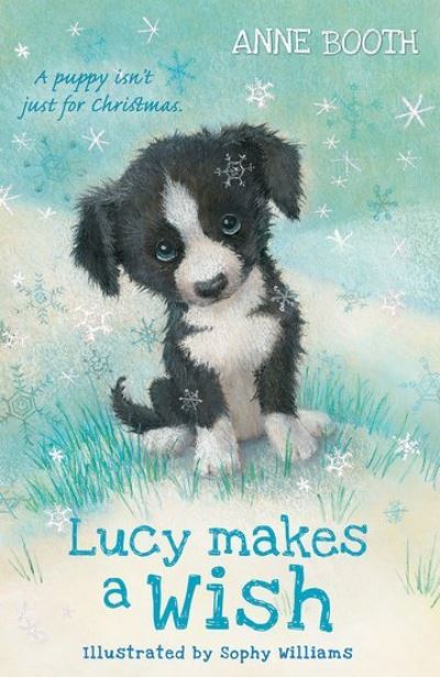 Jacket Image For: Lucy makes a wish