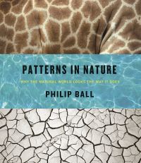 Jacket image for Patterns in Nature