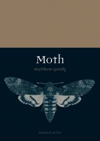 Jacket image for Moth