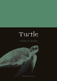 Jacket image for Turtle