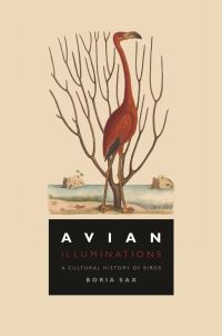 Jacket image for Avian Illuminations