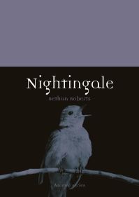 Jacket image for Nightingale