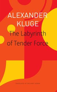 Jacket image for The Labyrinth of Tender Force – 166 Love Stories