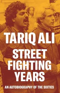 Jacket image for Street-Fighting Years
