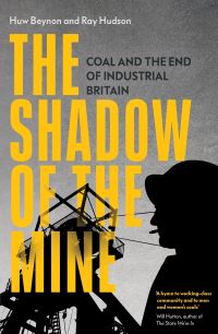 Jacket image for The Shadow of the Mine