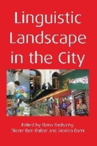 Jacket Image For: Linguistic Landscape in the City