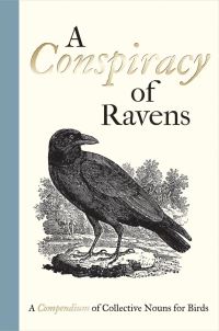 Jacket image for A Conspiracy of Ravens