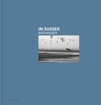 Jacket Image For: In Sussex